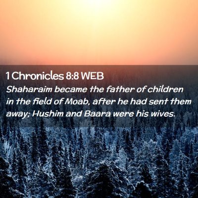 Picture 02 - 1 Chronicles 8:8 WEB - Shaharaim became the father of children in the - Bible Verse Picture