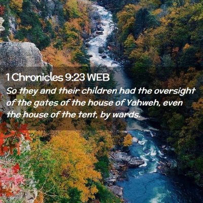 Picture 02 - 1 Chronicles 9:23 WEB - So they and their children had the oversight of - Bible Verse Picture