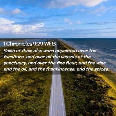 Picture 02 - 1 Chronicles 9:29 WEB - Some of them also were appointed over the - Bible Verse Picture