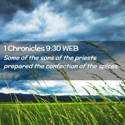 Picture 02 - 1 Chronicles 9:30 WEB - Some of the sons of the priests prepared the - Bible Verse Picture
