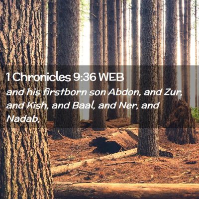 Picture 02 - 1 Chronicles 9:36 WEB - and his firstborn son Abdon, and Zur, and Kish, - Bible Verse Picture