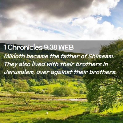 Picture 02 - 1 Chronicles 9:38 WEB - Mikloth became the father of Shimeam. They also - Bible Verse Picture