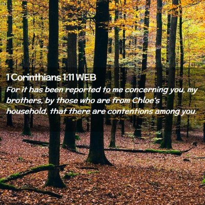 Picture 02 - 1 Corinthians 1:11 WEB - For it has been reported to me concerning you, my - Bible Verse Picture