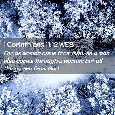 Picture 02 - 1 Corinthians 11:12 WEB - For as woman came from man, so a man also comes - Bible Verse Picture
