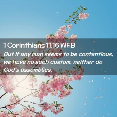 Picture 02 - 1 Corinthians 11:16 WEB - But if any man seems to be contentious, we have - Bible Verse Picture