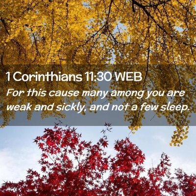 Picture 02 - 1 Corinthians 11:30 WEB - For this cause many among you are weak and - Bible Verse Picture