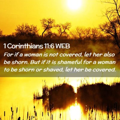 Picture 02 - 1 Corinthians 11:6 WEB - For if a woman is not covered, let her also be - Bible Verse Picture