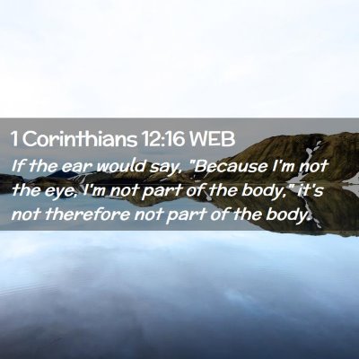 Picture 02 - 1 Corinthians 12:16 WEB - If the ear would say, 