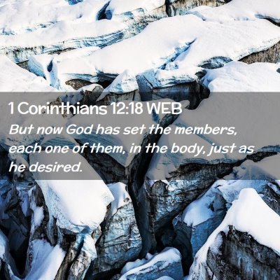 Picture 02 - 1 Corinthians 12:18 WEB - But now God has set the members, each one of - Bible Verse Picture