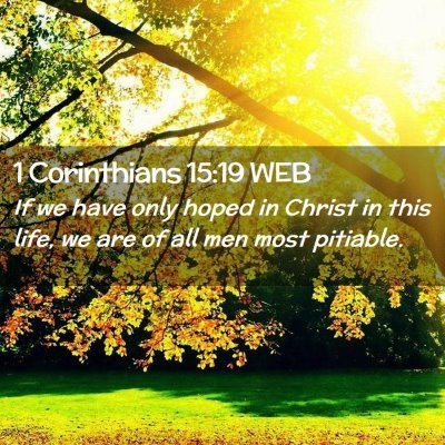 Picture 02 - 1 Corinthians 15:19 WEB - If we have only hoped in Christ in this life, we - Bible Verse Picture