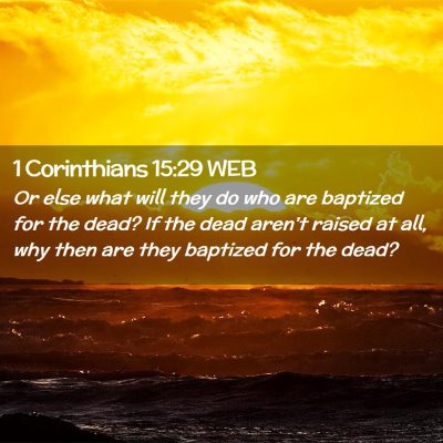 Picture 02 - 1 Corinthians 15:29 WEB - Or else what will they do who are baptized for - Bible Verse Picture