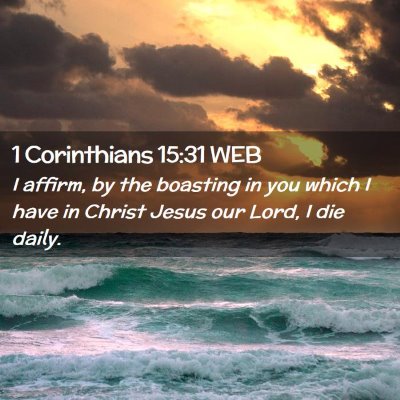 Picture 02 - 1 Corinthians 15:31 WEB - I affirm, by the boasting in you which I have in - Bible Verse Picture