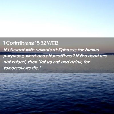 Picture 02 - 1 Corinthians 15:32 WEB - If I fought with animals at Ephesus for human - Bible Verse Picture