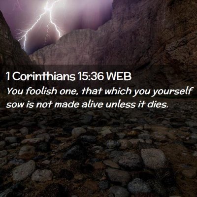 Picture 02 - 1 Corinthians 15:36 WEB - You foolish one, that which you yourself sow is - Bible Verse Picture