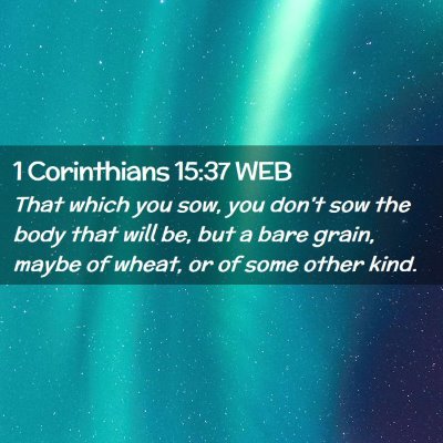 Picture 02 - 1 Corinthians 15:37 WEB - That which you sow, you don't sow the body that - Bible Verse Picture