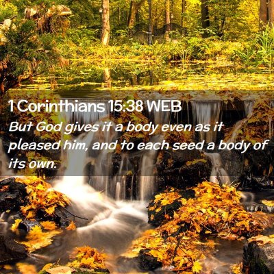 Picture 02 - 1 Corinthians 15:38 WEB - But God gives it a body even as it pleased him, - Bible Verse Picture