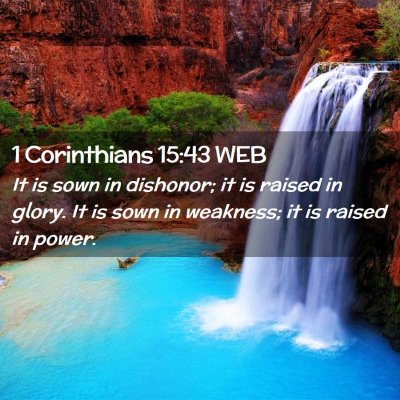 Picture 02 - 1 Corinthians 15:43 WEB - It is sown in dishonor; it is raised in glory. It - Bible Verse Picture