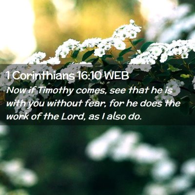 Picture 02 - 1 Corinthians 16:10 WEB - Now if Timothy comes, see that he is with you - Bible Verse Picture