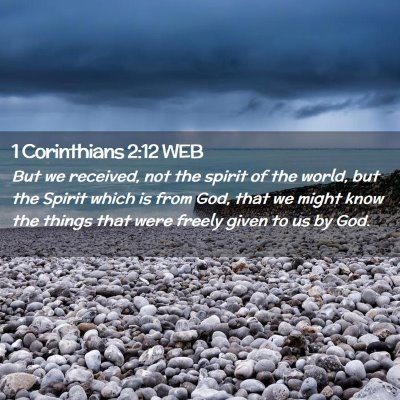Picture 02 - 1 Corinthians 2:12 WEB - But we received, not the spirit of the world, but - Bible Verse Picture