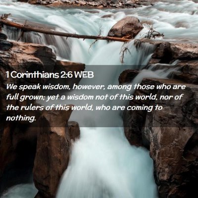 Picture 02 - 1 Corinthians 2:6 WEB - We speak wisdom, however, among those who are - Bible Verse Picture