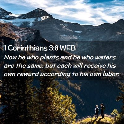 Picture 02 - 1 Corinthians 3:8 WEB - Now he who plants and he who waters are the same, - Bible Verse Picture