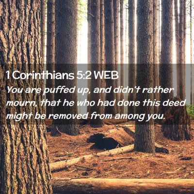 Picture 02 - 1 Corinthians 5:2 WEB - You are puffed up, and didn't rather mourn, that - Bible Verse Picture