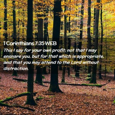Picture 02 - 1 Corinthians 7:35 WEB - This I say for your own profit; not that I may - Bible Verse Picture