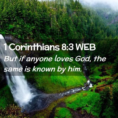 Picture 02 - 1 Corinthians 8:3 WEB - But if anyone loves God, the same is known by - Bible Verse Picture