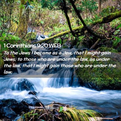 Picture 02 - 1 Corinthians 9:20 WEB - To the Jews I became as a Jew, that I might gain - Bible Verse Picture