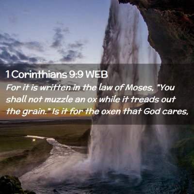 Picture 02 - 1 Corinthians 9:9 WEB - For it is written in the law of Moses, 