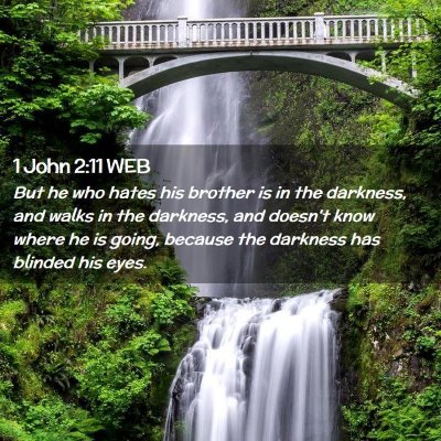 Picture 02 - 1 John 2:11 WEB - But he who hates his brother is in the darkness, - Bible Verse Picture