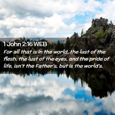 Picture 02 - 1 John 2:16 WEB - For all that is in the world, the lust of the - Bible Verse Picture