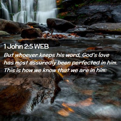 Picture 02 - 1 John 2:5 WEB - But whoever keeps his word, God's love has most - Bible Verse Picture