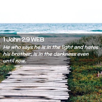Picture 02 - 1 John 2:9 WEB - He who says he is in the light and hates his - Bible Verse Picture