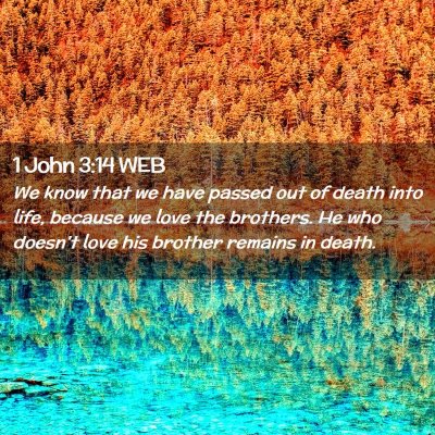 Picture 02 - 1 John 3:14 WEB - We know that we have passed out of death into - Bible Verse Picture
