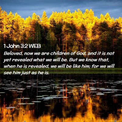 Picture 02 - 1 John 3:2 WEB - Beloved, now we are children of God, and it is - Bible Verse Picture