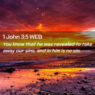 Picture 02 - 1 John 3:5 WEB - You know that he was revealed to take away our - Bible Verse Picture