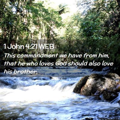 Picture 02 - 1 John 4:21 WEB - This commandment we have from him, that he who - Bible Verse Picture
