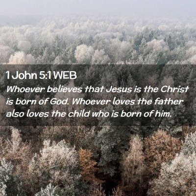 Picture 02 - 1 John 5:1 WEB - Whoever believes that Jesus is the Christ is born - Bible Verse Picture