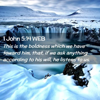 Picture 02 - 1 John 5:14 WEB - This is the boldness which we have toward him, - Bible Verse Picture