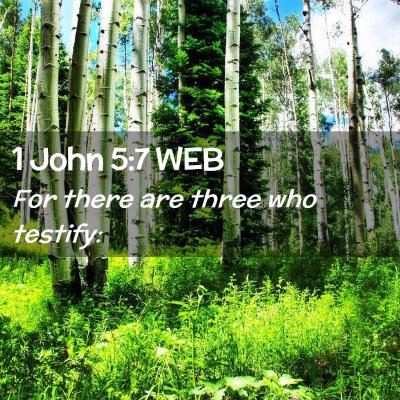 Picture 02 - 1 John 5:7 WEB - For there are three who - Bible Verse Picture