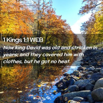 Picture 02 - 1 Kings 1:1 WEB - Now king David was old and stricken in years; and - Bible Verse Picture