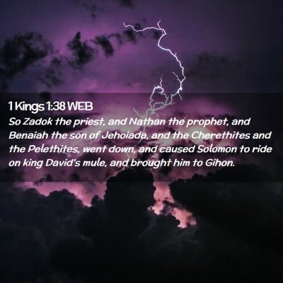 Picture 02 - 1 Kings 1:38 WEB - So Zadok the priest, and Nathan the prophet, and - Bible Verse Picture