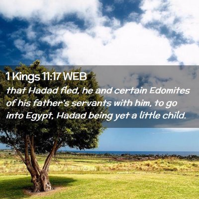 Picture 02 - 1 Kings 11:17 WEB - that Hadad fled, he and certain Edomites of his - Bible Verse Picture