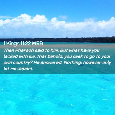 Picture 02 - 1 Kings 11:22 WEB - Then Pharaoh said to him, But what have you - Bible Verse Picture