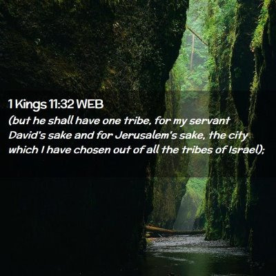 Picture 02 - 1 Kings 11:32 WEB - (but he shall have one tribe, for my servant - Bible Verse Picture