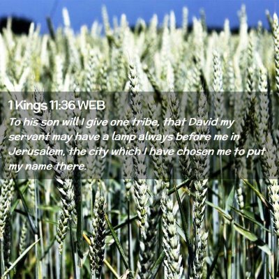 Picture 02 - 1 Kings 11:36 WEB - To his son will I give one tribe, that David my - Bible Verse Picture