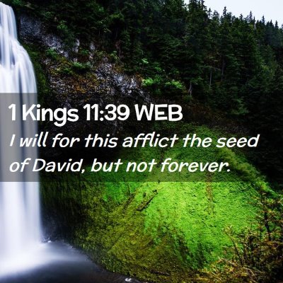 Picture 02 - 1 Kings 11:39 WEB - I will for this afflict the seed of David, but - Bible Verse Picture