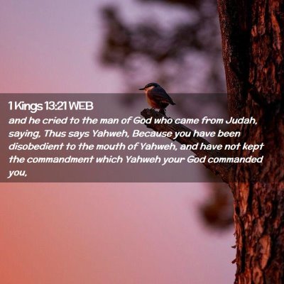 Picture 02 - 1 Kings 13:21 WEB - and he cried to the man of God who came from - Bible Verse Picture