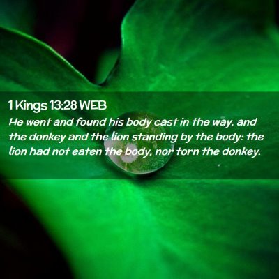 Picture 02 - 1 Kings 13:28 WEB - He went and found his body cast in the way, and - Bible Verse Picture